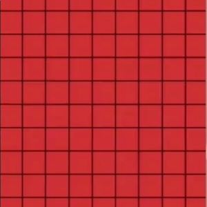 Meet your Posher, Sophia